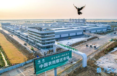 產業旺、村和美、同致富 宿遷集成推進鄉村全面振興的建筑工程實踐